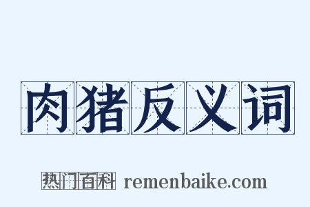 肉猪反义词是什么意思的图片